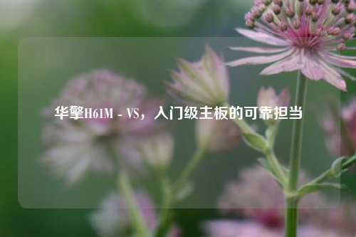 华擎H61M - VS,入门级主板的可靠担当