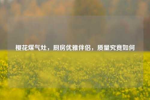 樱花煤气灶,厨房优雅伴侣,质量究竟如何