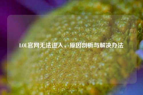 LOL官网无法进入,原因剖析与解决办法