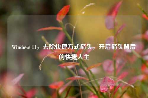 Windows 11,去除快捷方式箭头,开启箭头背后的快捷人生