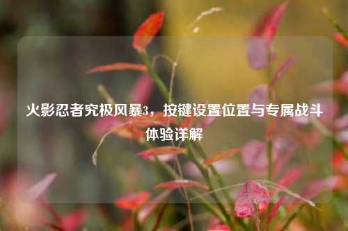 火影忍者究极风暴3,按键设置位置与专属战斗体验详解