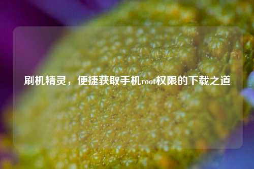 刷机精灵,便捷获取手机root权限的下载之道