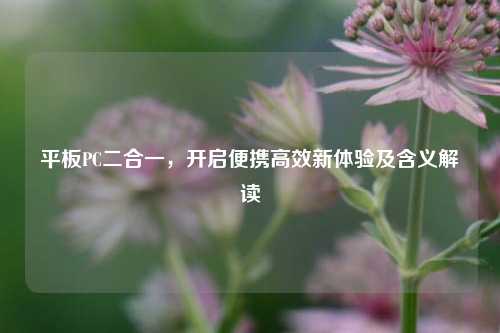 平板PC二合一,开启便携高效新体验及含义解读