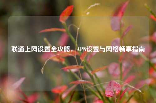 联通上网设置全攻略,APN设置与 畅享指南