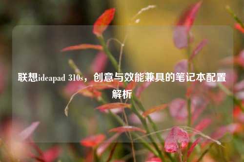 联想ideapad 310s,创意与效能兼具的笔记本配置解析
