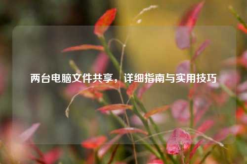 两台电脑文件共享,详细指南与实用技巧