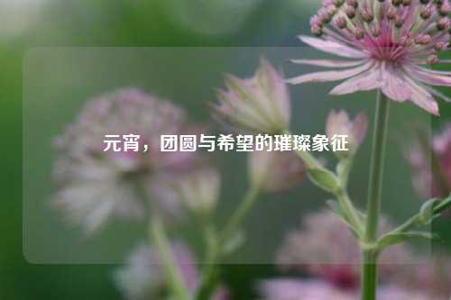 元宵,团圆与希望的璀璨象征