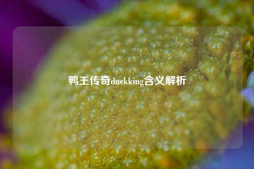 鸭王传奇duckking含义解析