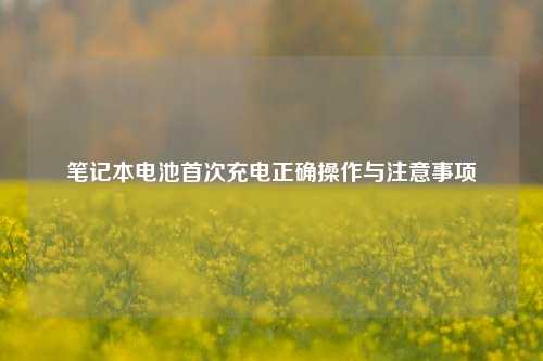 笔记本电池首次充电正确操作与注意事项
