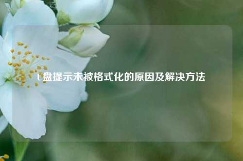 U盘提示未被格式化的原因及解决