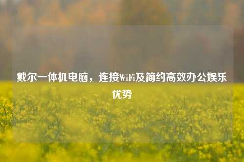戴尔一体机电脑,连接WiFi及简约高效办公娱乐优势