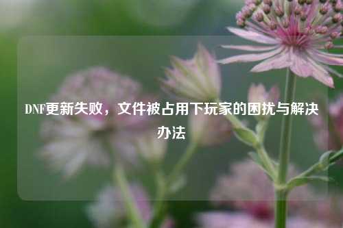 DNF更新失败,文件被占用下玩家的困扰与解决办法