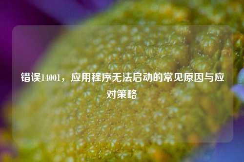 错误14001,应用程序无法启动的常见原因与应对策略