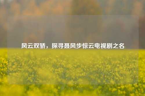 风云双骄,探寻聂风步惊云电视剧之名