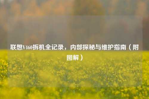 联想V460拆机全记录,内部探秘与维护指南(附图解)