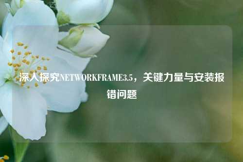 深入探究NETWORKFRAME3.5,关键力量与安装报错问题