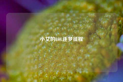 小艾的LOL逐梦征程