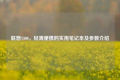 联想S300,轻薄便携的实用笔记本及参数介绍