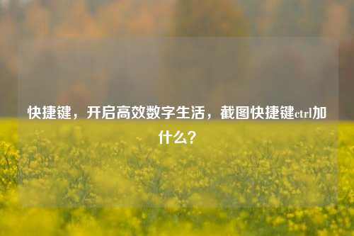 快捷键,开启高效数字生活,截图快捷键ctrl加什么?