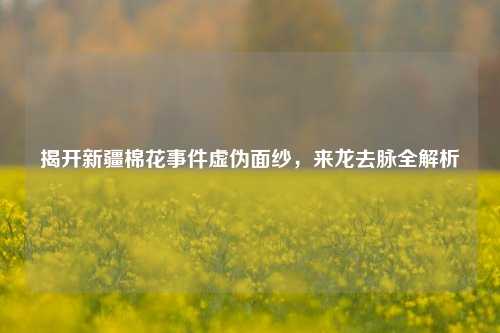 揭开新疆棉花事件虚伪面纱,来龙去脉全解析