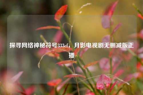 探寻 神秘符号333cf,月影电视剧无删减版正播