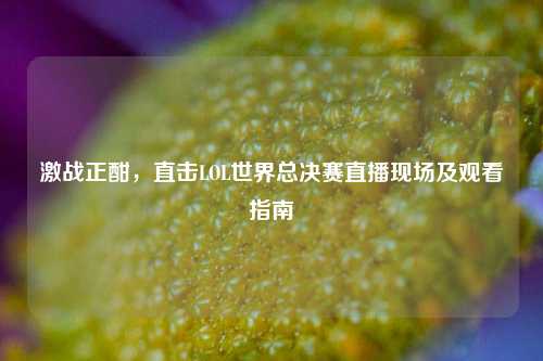 激战正酣,直击LOL世界总决赛直播现场及观看指南