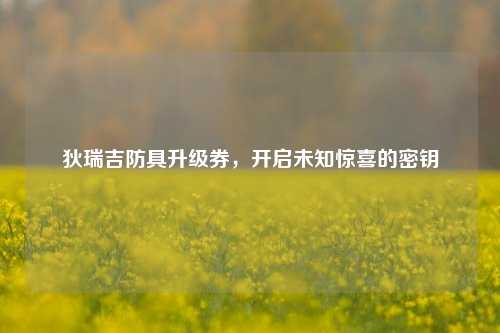 狄瑞吉防具升级券,开启未知惊喜的密钥