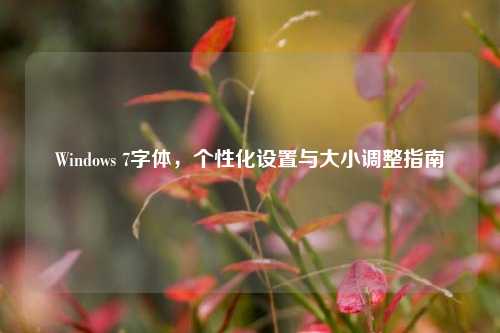 Windows 7字体,个性化设置与大小调整指南