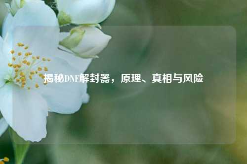 揭秘DNF解封器,原理、真相与风险