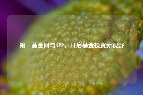 之一基金网与APP,开启基金投资新视野