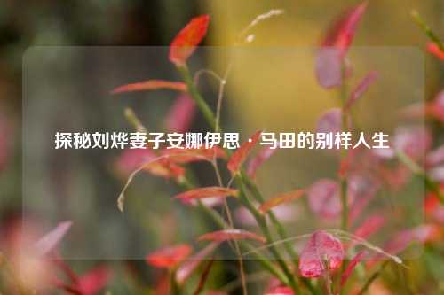 探秘刘烨妻子安娜伊思·马田的别样人生