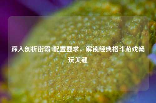深入剖析街霸4配置要求,解锁经典格斗游戏畅玩关键