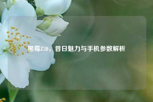 黑莓Z30,昔日魅力与手机参数解析