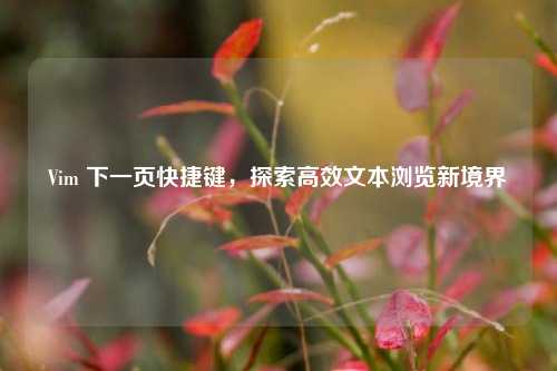 Vim 下一页快捷键,探索高效文本浏览新境界