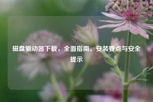 磁盘驱动器下载,全面指南、安装要点与安全提示