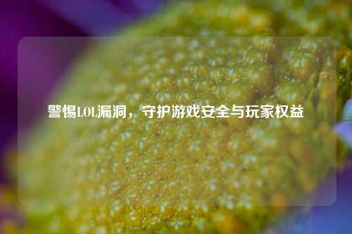 警惕LOL漏洞,守护游戏安全与玩家权益