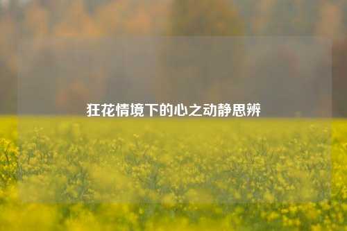 狂花情境下的心之动静思辨