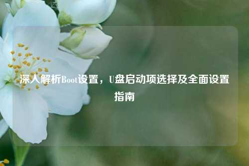 深入解析Boot设置,U盘启动项选择及全面设置指南