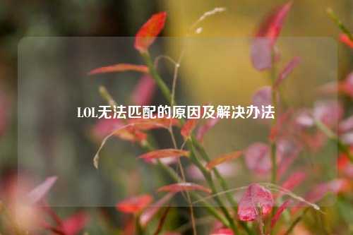 LOL无法匹配的原因及解决办法