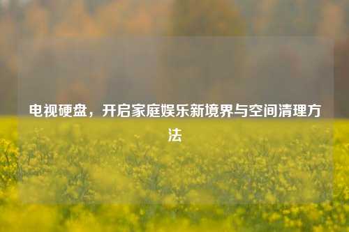 电视硬盘,开启家庭娱乐新境界与空间清理