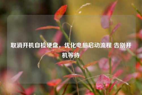 取消开机自检硬盘,优化电脑启动流程 告别开机等待