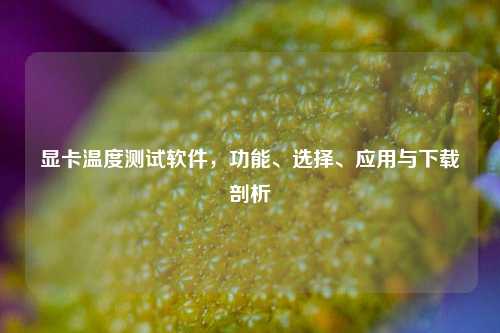 显卡温度测试软件,功能、选择、应用与下载剖析