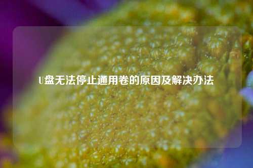 U盘无法停止通用卷的原因及解决办法