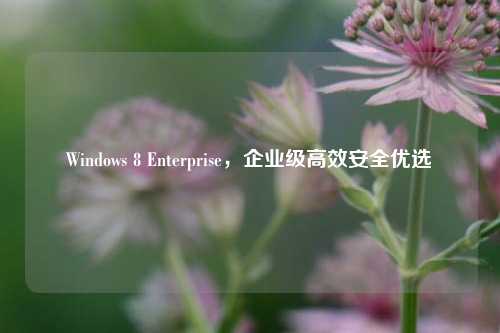 Windows 8 Enterprise,企业级高效安全优选