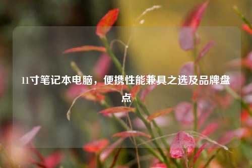 11寸笔记本电脑,便携性能兼具之选及品牌盘点