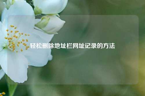轻松删除地址栏网址记录的