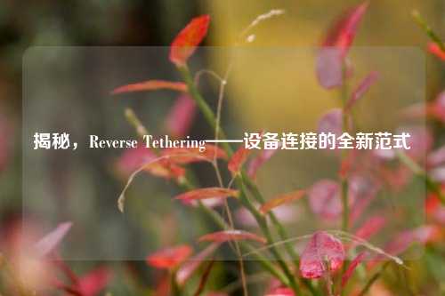 揭秘,Reverse Tethering——设备连接的全新范式
