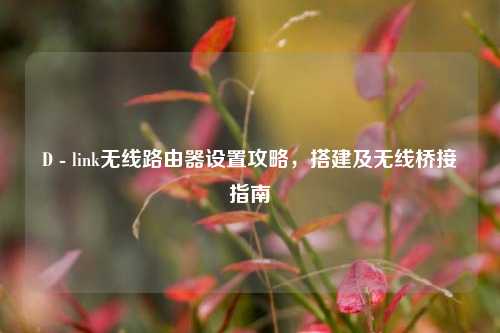 D - link无线路由器设置攻略,搭建及无线桥接指南