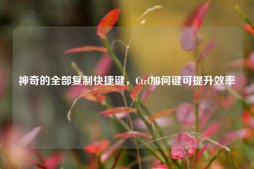 神奇的全部复制快捷键,Ctrl加何键可提升效率