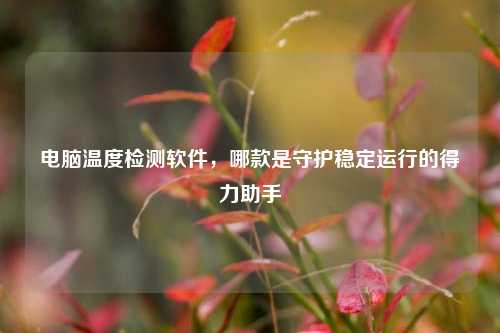 电脑温度检测软件,哪款是守护稳定运行的得力助手